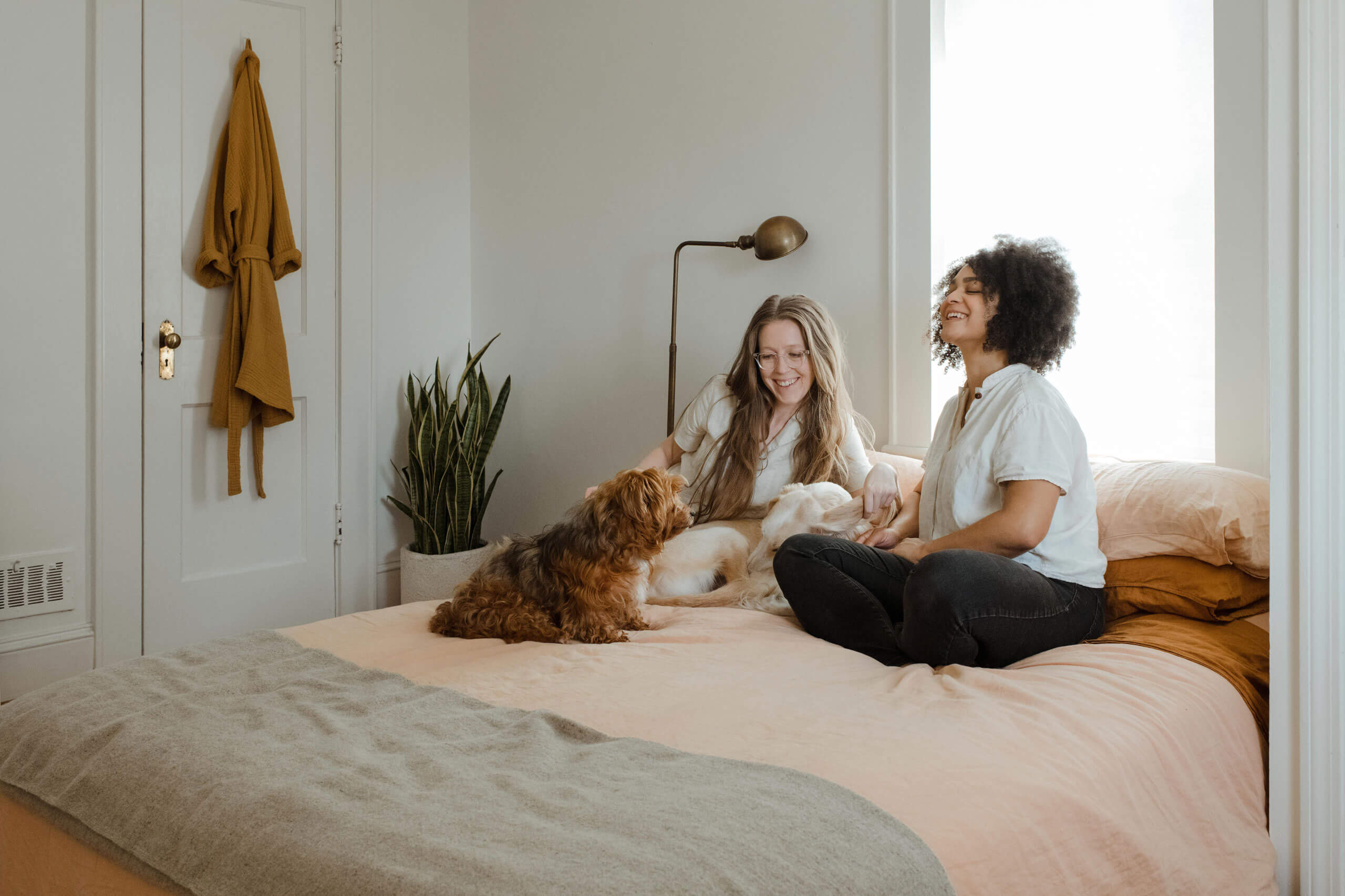 Dog on a bed with two women
